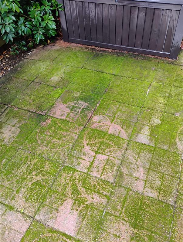 Backyard paver patio stained green with moss before cleaning