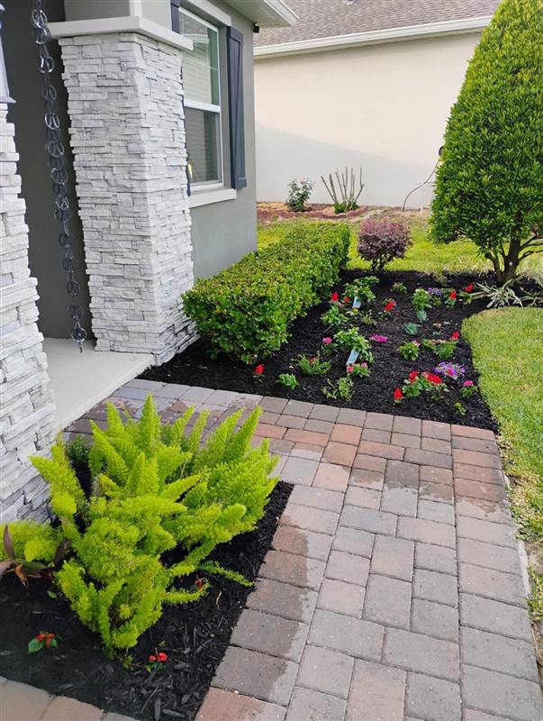 The same bed filled with fresh plants and mulch