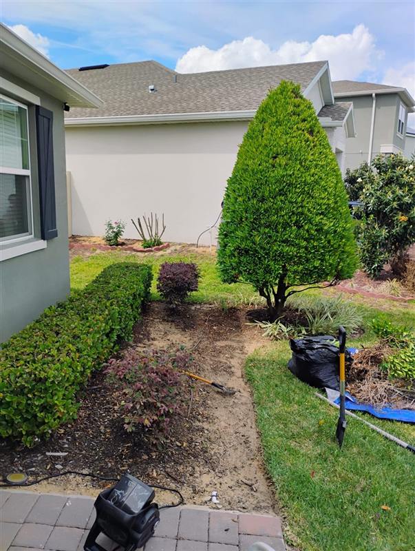 Sparse garden bed along a paver path before landscaping