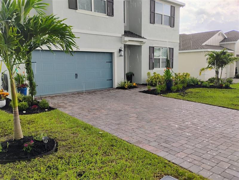 The same island bed with fresh plants, mulch and a new palm