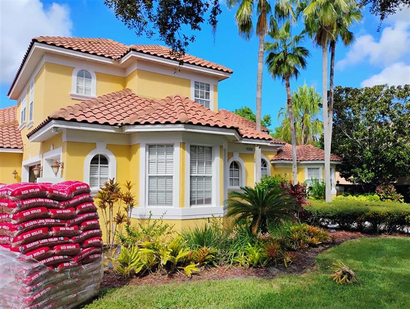 The same house repainted bright yellow with fresh landscaping