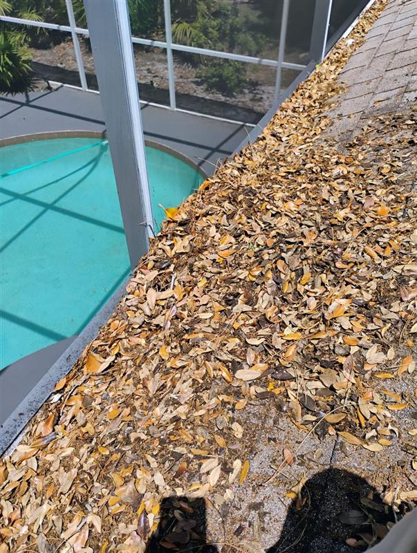 Roof gutter packed with leaves above a pool enclosure