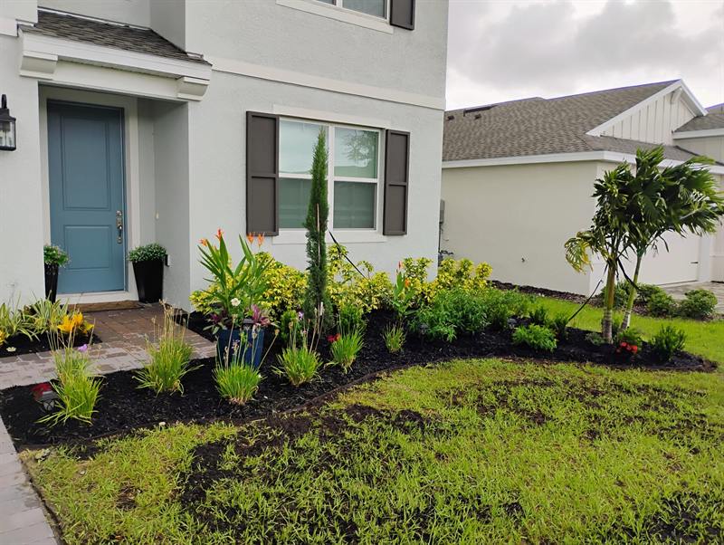 Front entry bed with ornamental grasses, a young cypress and potted plants at a white house