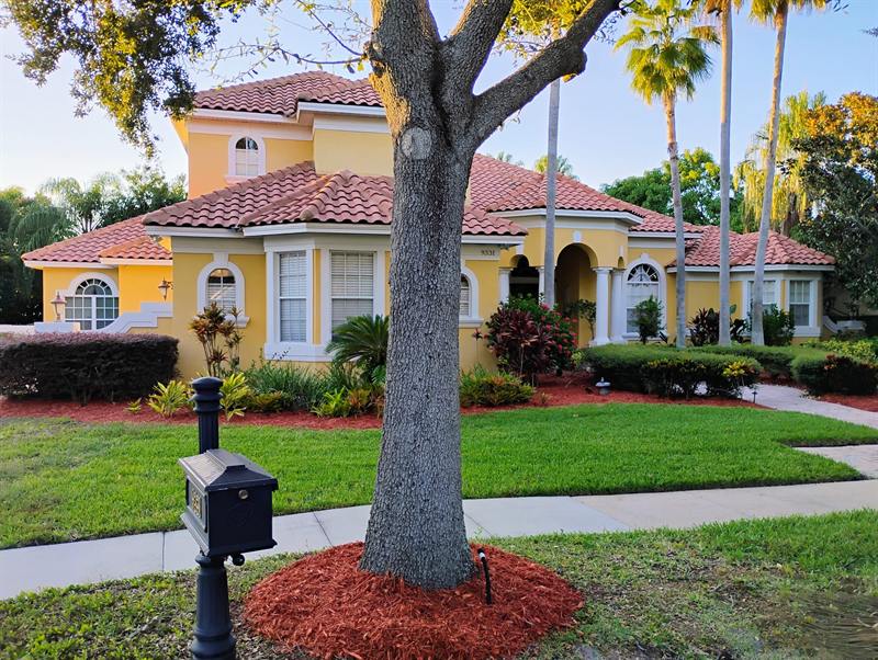 Freshly repainted yellow house with new landscaping and a mature shade tree