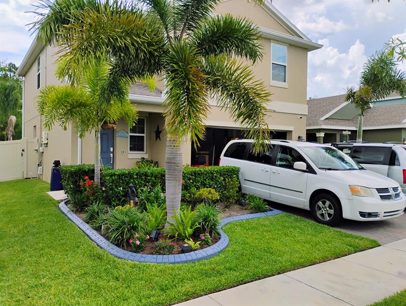 Front yard with a palm, new plantings and a curved concrete-edged bed