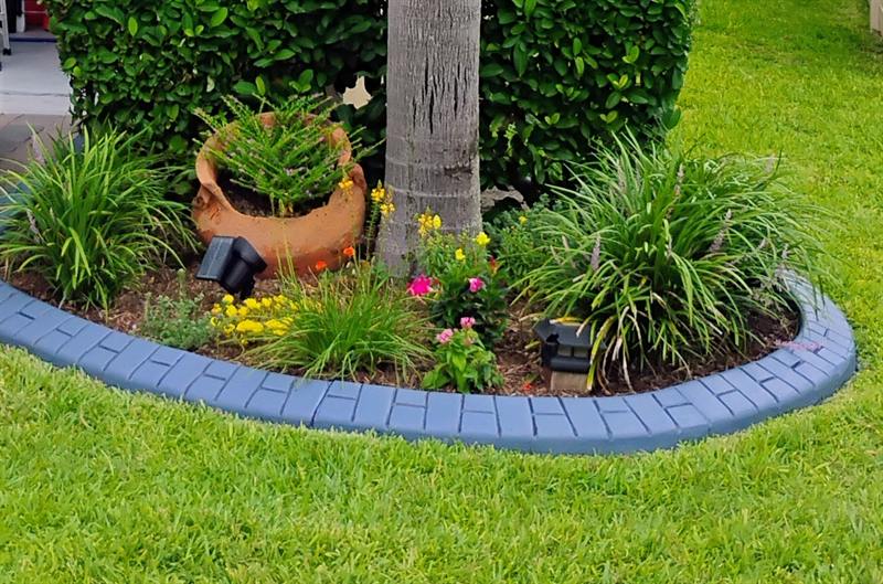 Garden bed with decorative curved concrete edging, palms and flowers