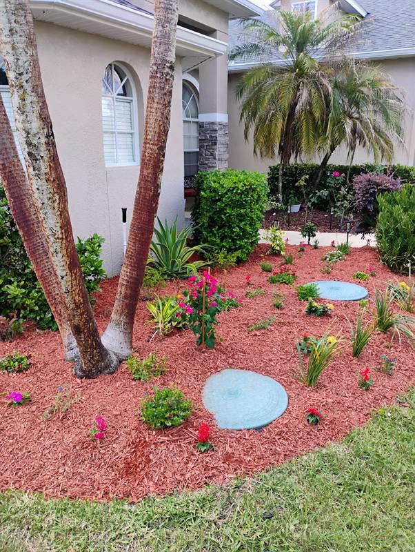 Palms and tropical plants in a freshly mulched bed